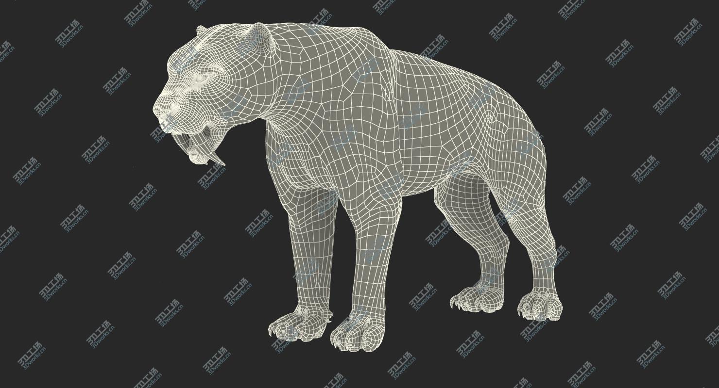 images/goods_img/202104021/3D Arctic Saber Tooth Cat model/4.jpg